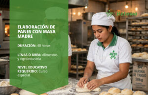 Curso SENA de elaboración de panes con masa madre – Betowa