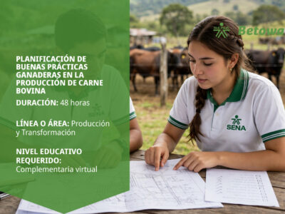 miniatura del curso
