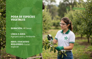 Curso SENA de poda de especies vegetales – Betowa