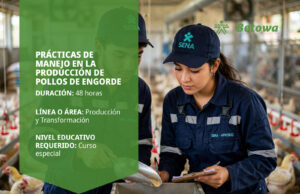Curso SENA de prácticas de manejo en la producción de pollos de engorde – Betowa
