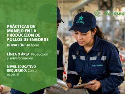 miniatura del curso