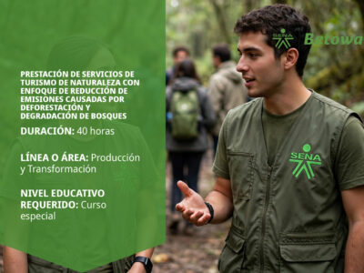 miniatura del curso