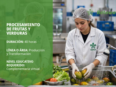 miniatura del curso
