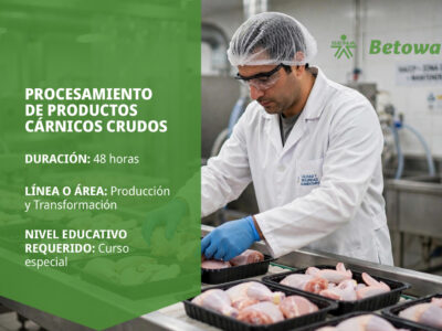 miniatura del curso