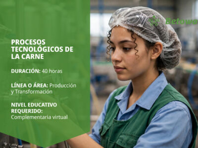 miniatura del curso