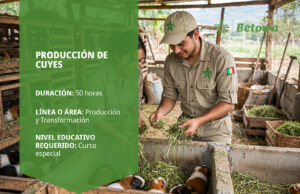 Curso SENA de producción de cuyes – Betowa
