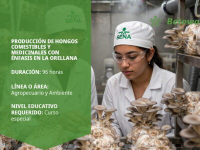 miniatura del curso
