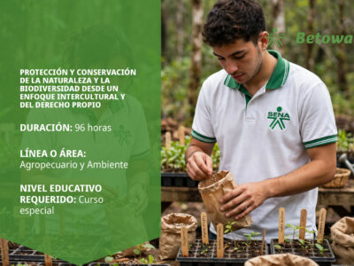 miniatura del curso