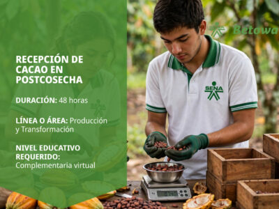 miniatura del curso