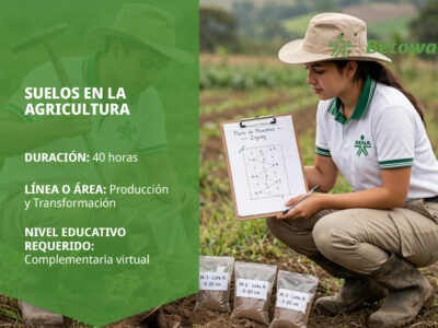 miniatura del curso