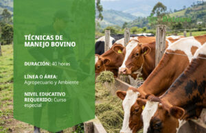 Curso SENA de técnicas de manejo bovino – Betowa