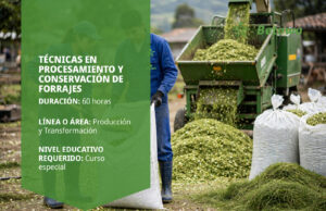Curso SENA de técnicas en procesamiento y conservación de forrajes – Betowa