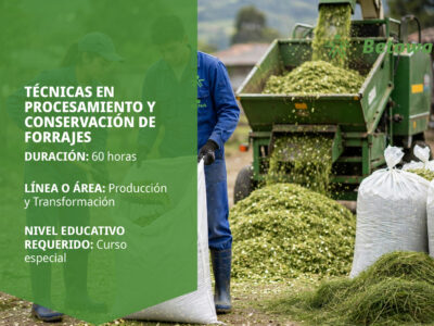 miniatura del curso
