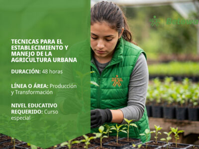 miniatura del curso