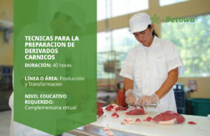 Curso SENA de técnicas para la preparación de derivados cárnicos – Betowa