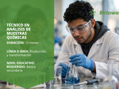 miniatura del curso