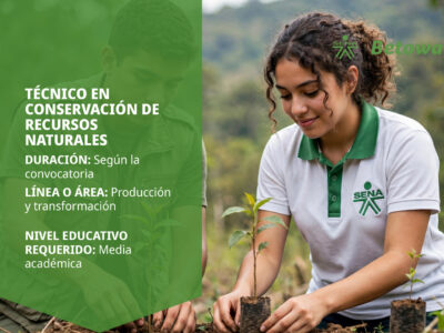 miniatura del curso
