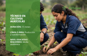 Técnico en Cultivos Agrícolas – SENA Betowa gratis