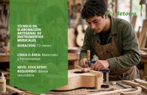 Técnico en Elaboración Artesanal de Instrumentos Musicales – SENA