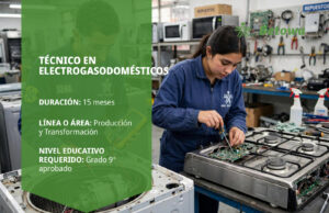 Técnico en Electrogasodomésticos – SENA Betowa