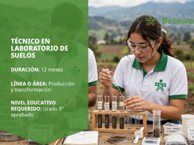 miniatura del curso