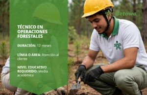 Técnico en Operaciones Forestales – SENA Betowa