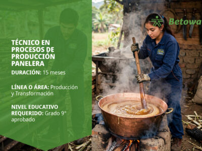 miniatura del curso