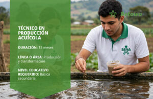 Técnico en Producción Acuícola – SENA Betowa