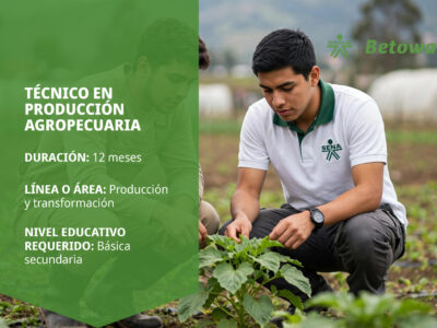 miniatura del curso