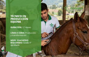 Técnico en Producción Equina – SENA Betowa