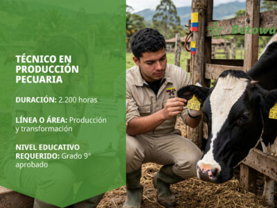 miniatura del curso