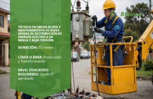 Técnico en Instalación y Mantenimiento de Redes Aéreas de Distribución de Energía Eléctrica en Media y Baja Tensión – SENA Betowa
