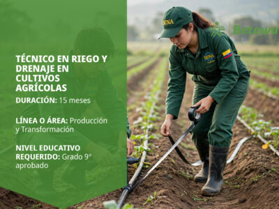 miniatura del curso
