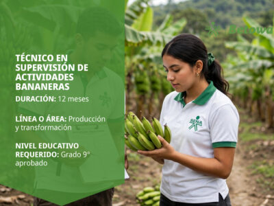 miniatura del curso