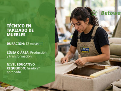 miniatura del curso
