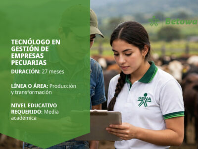 miniatura del curso