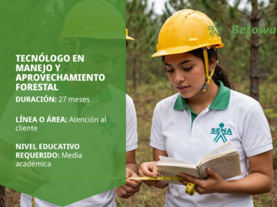 miniatura del curso