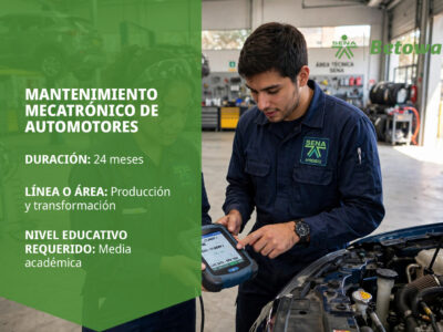miniatura del curso