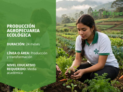 miniatura del curso