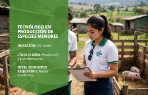 Tecnólogo en Producción de Especies Menores – SENA Betowa