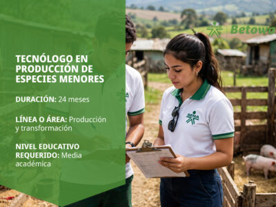 miniatura del curso