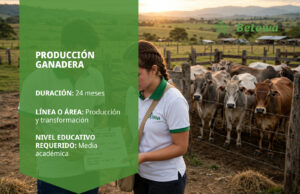 Tecnólogo en Producción Ganadera – SENA Betowa