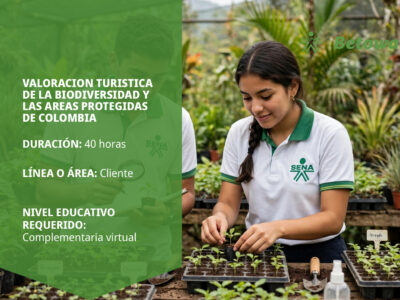 miniatura del curso